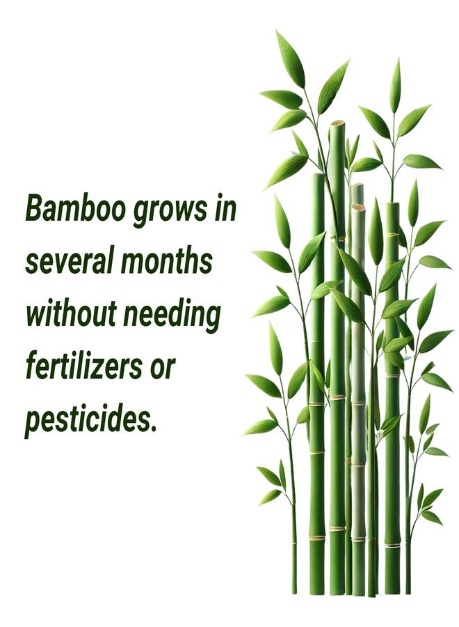 MOTHER EARTH Bamboo Everyday Napkins - 2 Ply, 300 Pack | Soft & Absorbent | Disposable Kitchen Napkins - Image 2